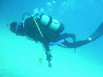 200911-5.gif