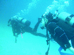200911-6.gif