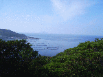 200911-8.gif
