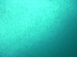 dm21-7.gif