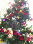 xmas1-1.gif