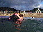 res1-8.gif