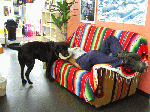 tesuta1-2.gif