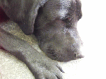 kanban1-7.gif