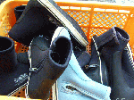 dms1-2.gif