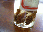 senta-1-2.gif
