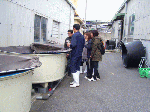 senta-1-6.gif