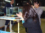 senta-1-1-1.gif