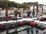 senta-1-1-5.gif