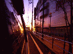 yamaguti1-4.gif