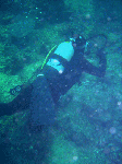 2800a467.gif