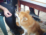 13niti1-2.gif