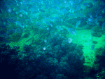 13niti1-4.gif