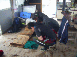 13niti1-5.gif