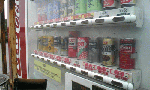 jihan1-2.gif