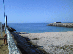 20100223.gif
