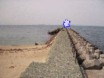kyounofutami2.gif