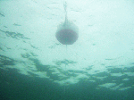 adv-b2.gif