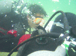 adv-b3.gif