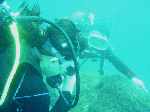tatuku-1-10.gif