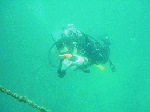 tatuku-1-12.gif