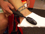 seawing1.gif