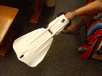 seawing2.gif