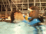 itc-7-2.gif