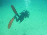 kasiwajimaasd1-5.gif