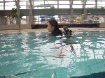 iqc-cw1-2.gif