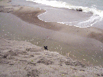 77241f19.gif