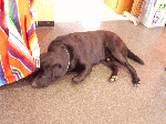 montak1-4.gif
