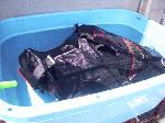 kizaisenjou1-11.gif