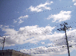 tenkimama-1.gif