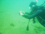 tsuyu-001.gif