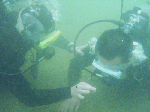 resres003.gif