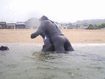 resres008.gif