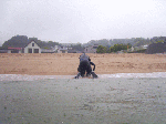 resres009.gif