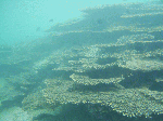 sunokawasd004.gif