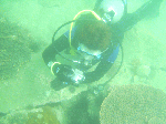 murote1-5.gif