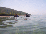 2010530-002.gif
