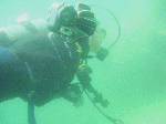 2010530-003.gif