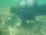 2010530-004.gif