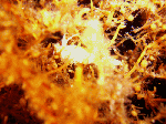 naitonohi1-4.gif