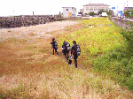 resnavi003.gif