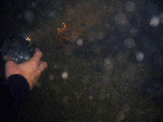 naitodaibing1-3.gif