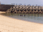 pur003.gif