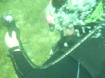 asd2-005.gif