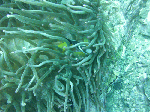 d80093af.gif