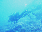 2010628001.gif